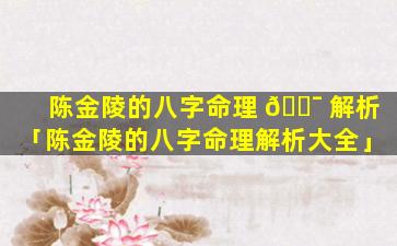 陈金陵的八字命理 🐯 解析「陈金陵的八字命理解析大全」